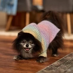 Frisco Soft Multi Stripe Ombre Dog & Cat Hooded Sweater -Frisco 742838 PT7. AC SS1800 V1692376365