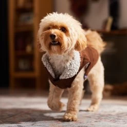 Frisco Medium Weight Quilted Dog & Cat Coat With Cozy Sherpa Lining -Frisco 744310 PT7. AC SS1800 V1692375981