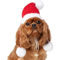 Frisco Chunky Knit Santa Dog & Cat Hat -Frisco 744878 PT2. AC SS1800 V1694812755