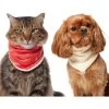 Frisco Reversible Candy Cane Cozy Knit Faux Fur Dog & Cat Pullover Bandana, 1 Count -Frisco 745294 MAIN. AC SS1800 V1694813782