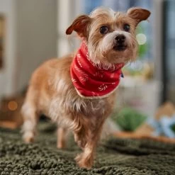 Frisco Reversible Candy Cane Cozy Knit Faux Fur Dog & Cat Pullover Bandana, 1 Count -Frisco 745294 PT6. AC SS1800 V1694794121