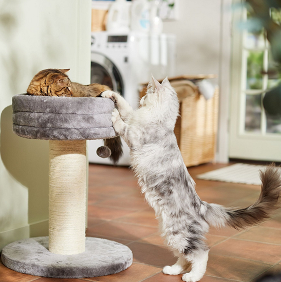 Frisco -Frisco 7@8KSL@GD8UOQIVNCVT