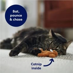 Frisco Squirrel Plush Cat Toy With Refillable Catnip & Frisco Bird With Feathers Teaser Wand Cat Toy With Catnip -Frisco 962030 PT3. AC SS1800 V1694783954