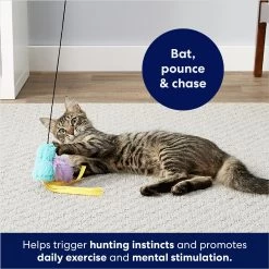 Frisco Squirrel Plush Cat Toy With Refillable Catnip & Frisco Bird With Feathers Teaser Wand Cat Toy With Catnip -Frisco 962030 PT8. AC SS1800 V1694783953